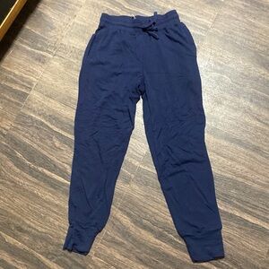 Fabletics XS Navy Joggers